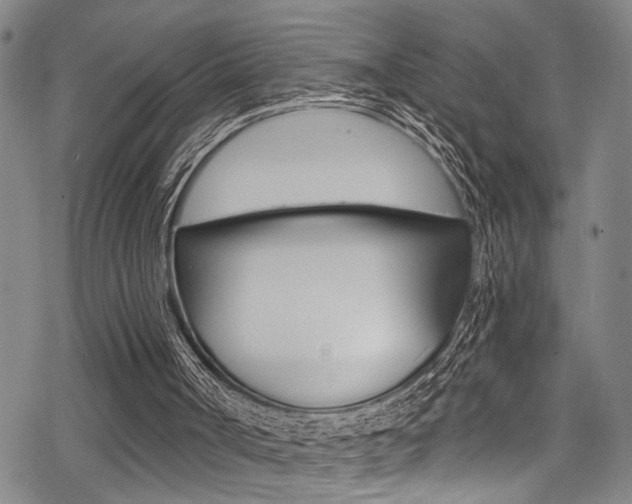 X0000069820002200605190922