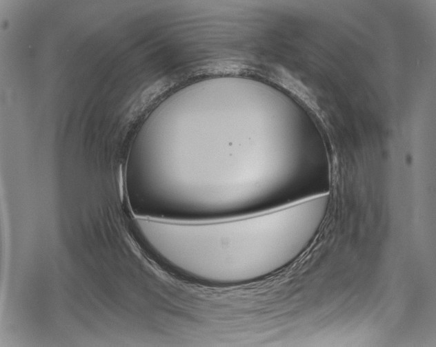 X0000069820013200605190921