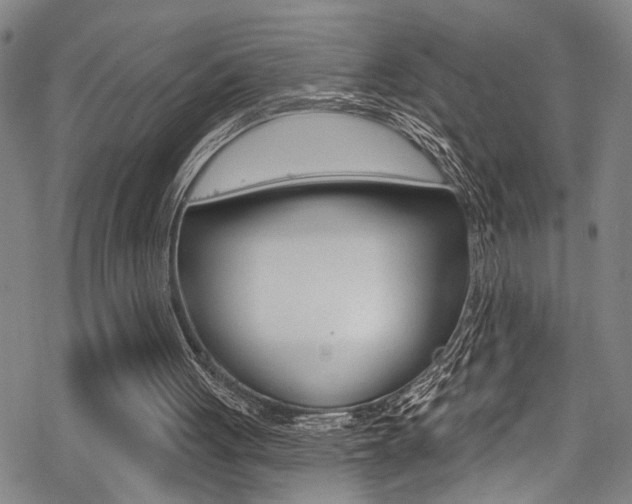 X0000069820051200605190920