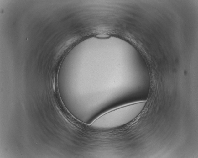 X0000069820062200605190920