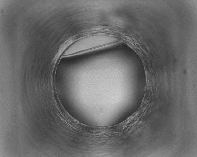 X0000069820099200605190920
