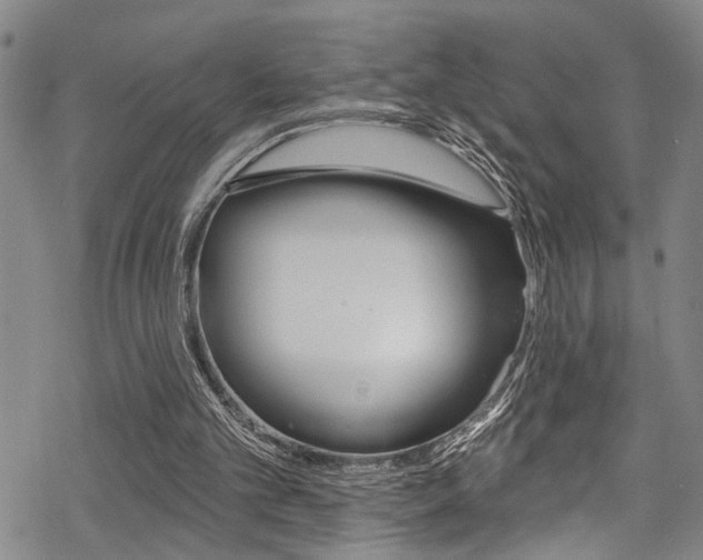 X0000069820101200605190920