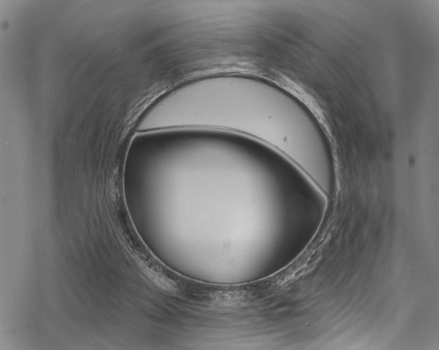 X0000069820105200605190920