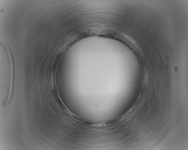 X0000069820121200605190920