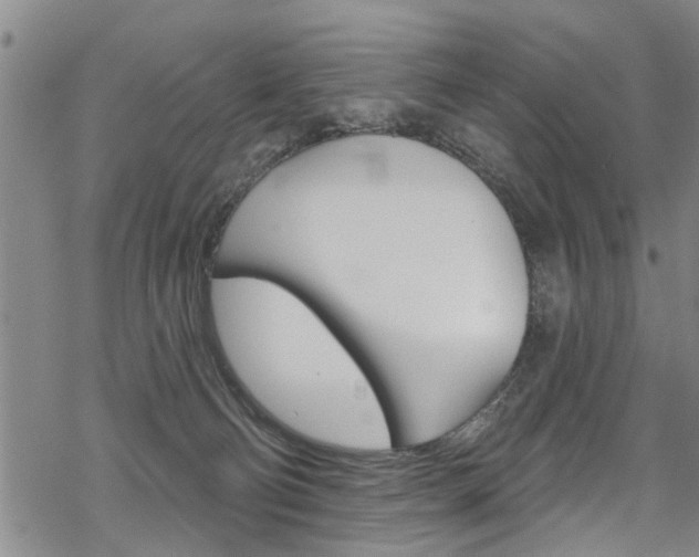 X0000069820130200605190919