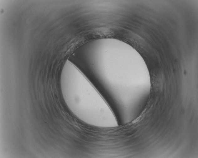 X0000069820132200605190919