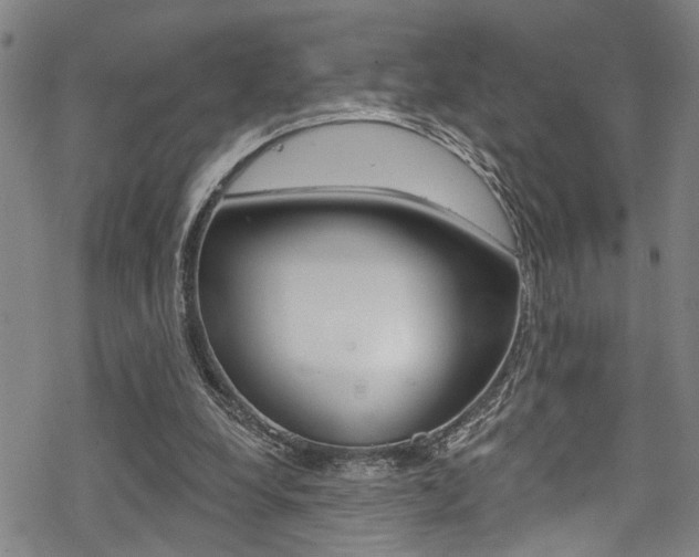 X0000069820248200605190917