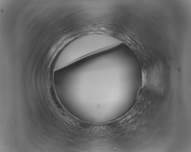 X0000069820291200605190917