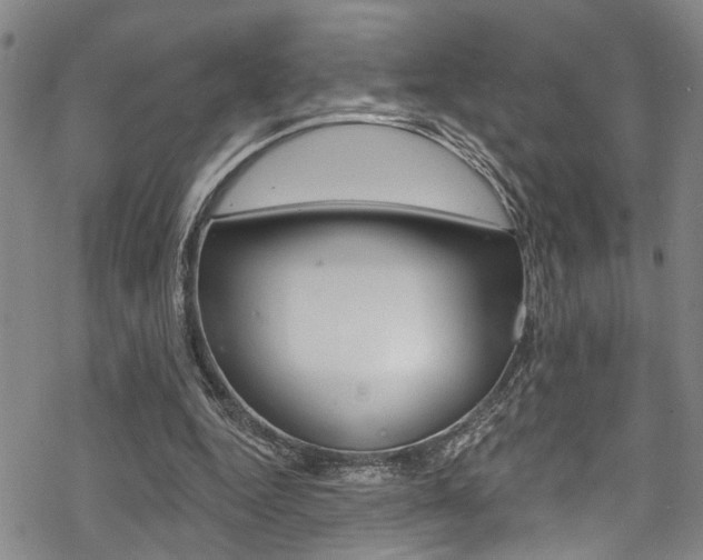 X0000069820344200605190915