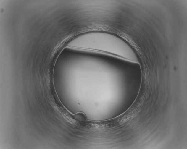 X0000069820442200605190914