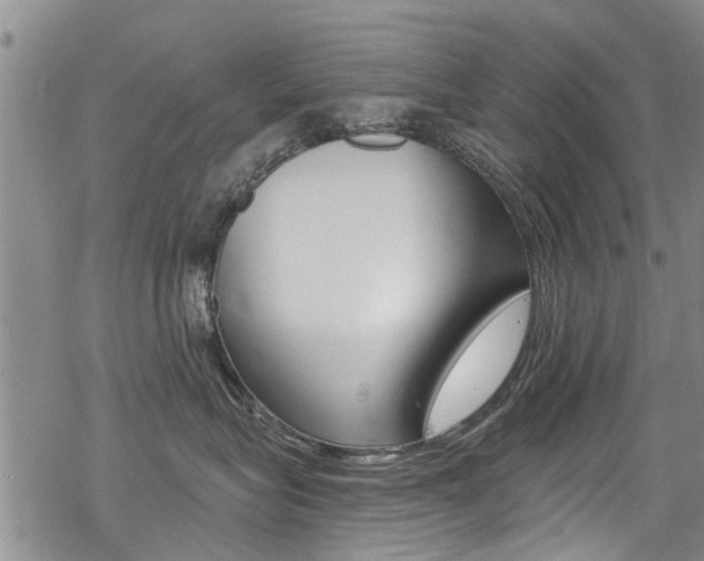 X0000069820575200605190913