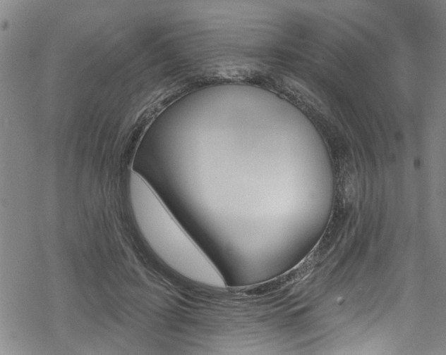 X0000069820595200605190912