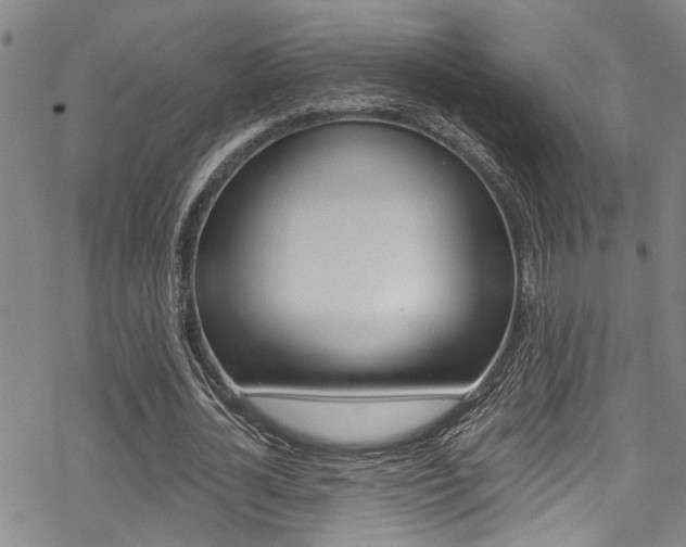X0000069820724200605190909