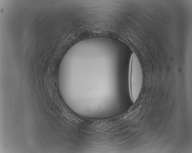X0000069820817200605190907