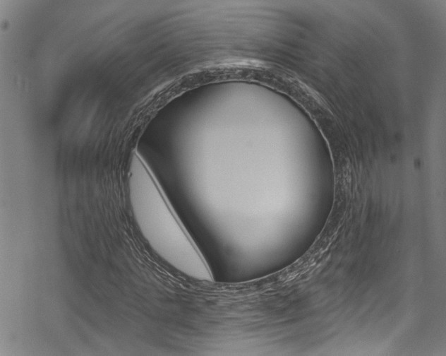 X0000069820821200605190907