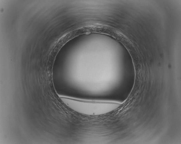 X0000069820822200605190907