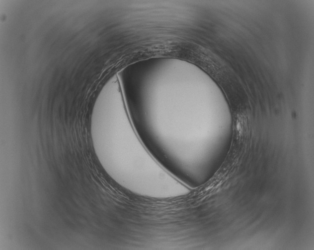 X0000069820867200605190907