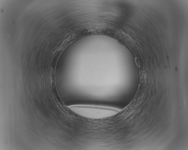 X0000069821012200605190904