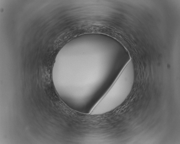 X0000069821013200605190904