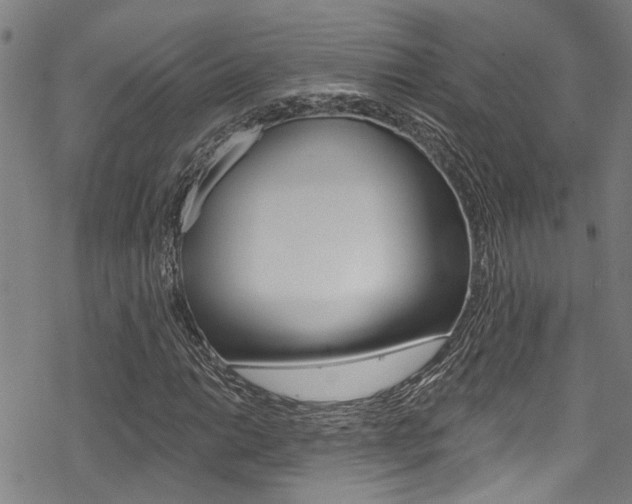 X0000069821014200605190904
