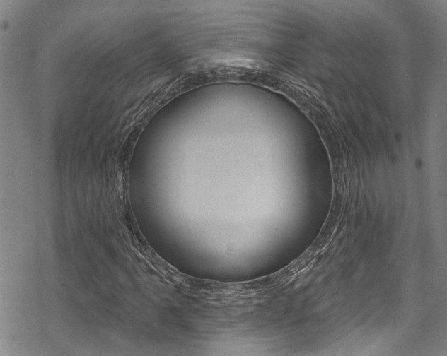 X0000069821061200605190904