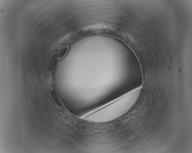 X0000069821062200605190904