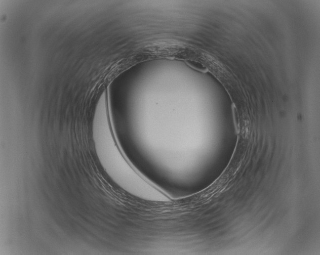 X0000069821108200605190903