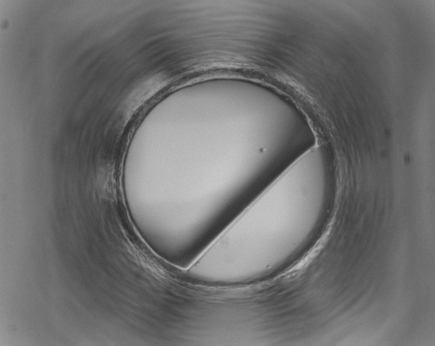 X0000069821113200605190903