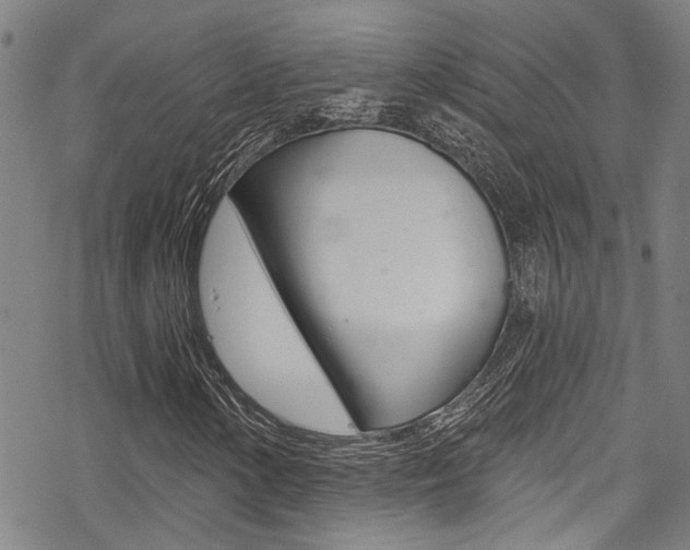 X0000069821154200605190903