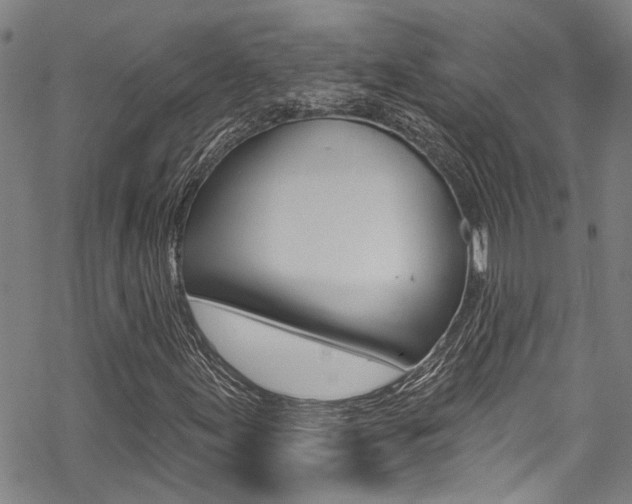 X0000069821155200605190903