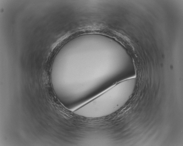 X0000069821160200605190903