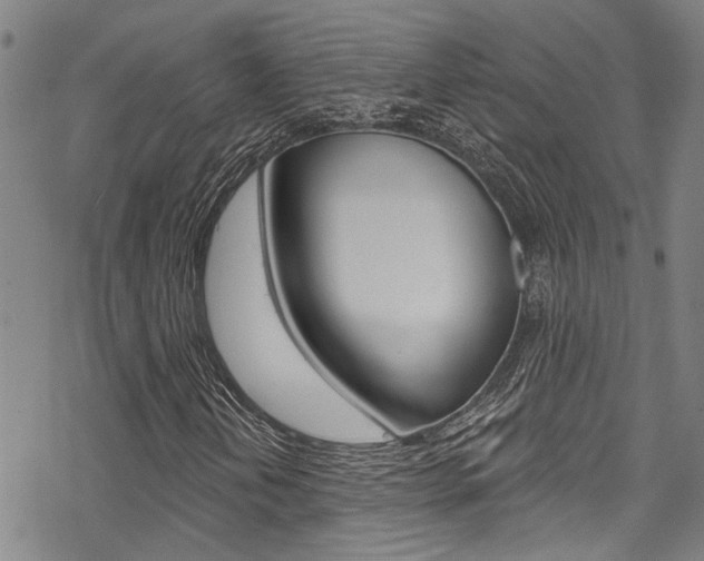 X0000069821202200605190901