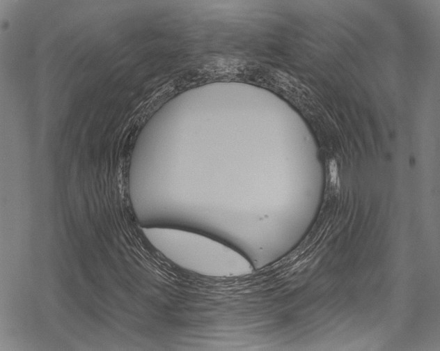 X0000069821203200605190901