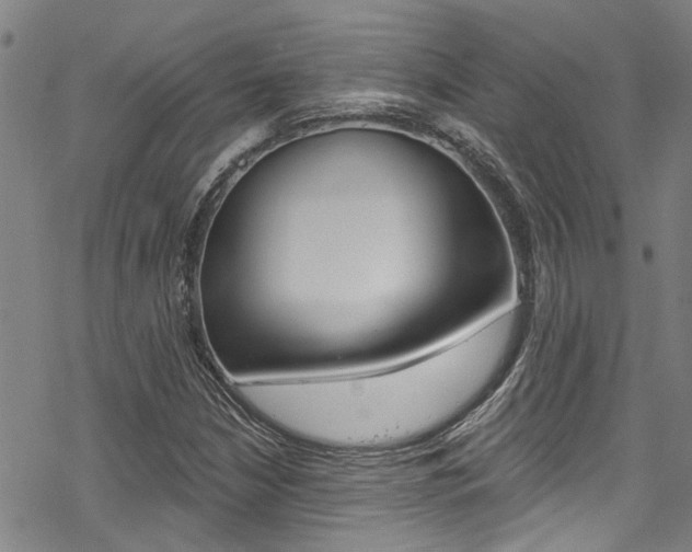 X0000069821210200605190901