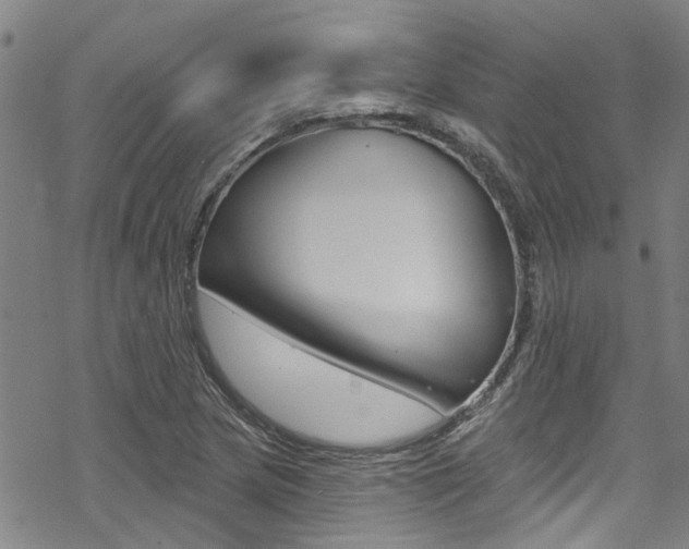 X0000069821217200605190901