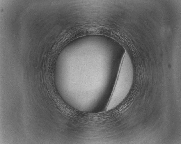 X0000069821249200605190901