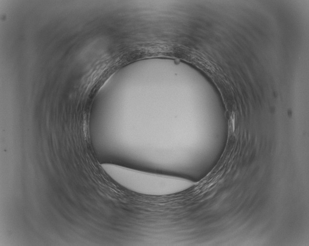 X0000069821251200605190901
