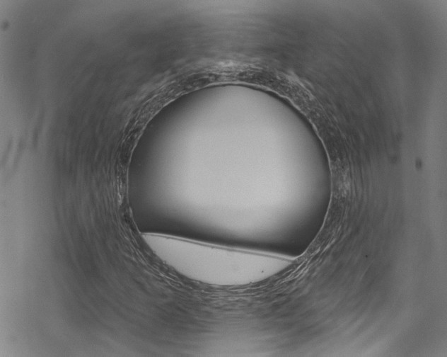 X0000069821253200605190901