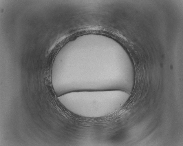 X0000069821255200605190901