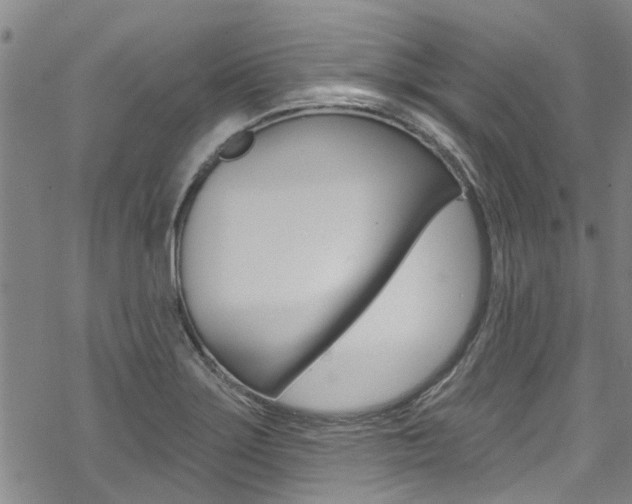 X0000069821275200605190901