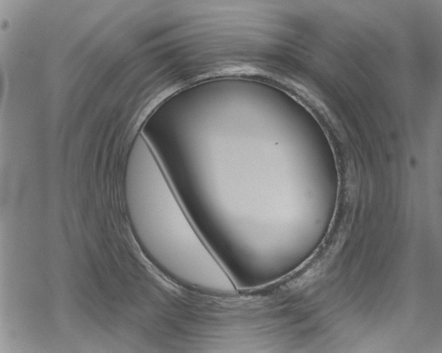 X0000069821281200605190901