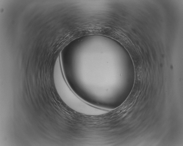X0000069821298200605190900