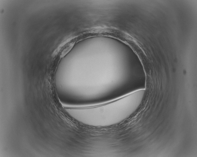 X0000069821304200605190900