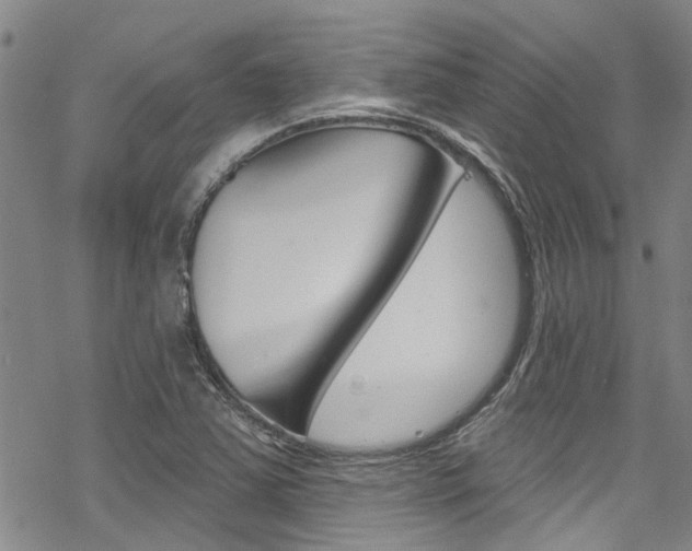 X0000069821363200605190859