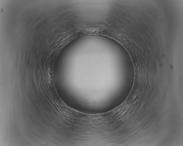 X0000069821394200605190858