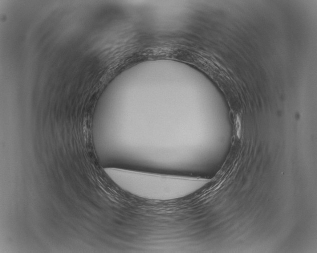 X0000069821395200605190858