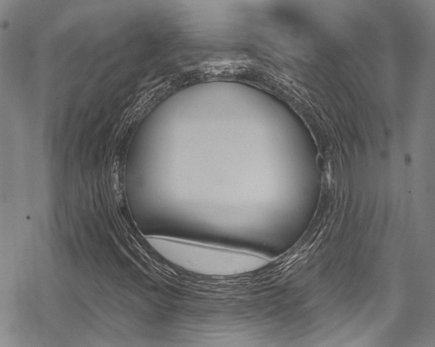 X0000069821396200605190858