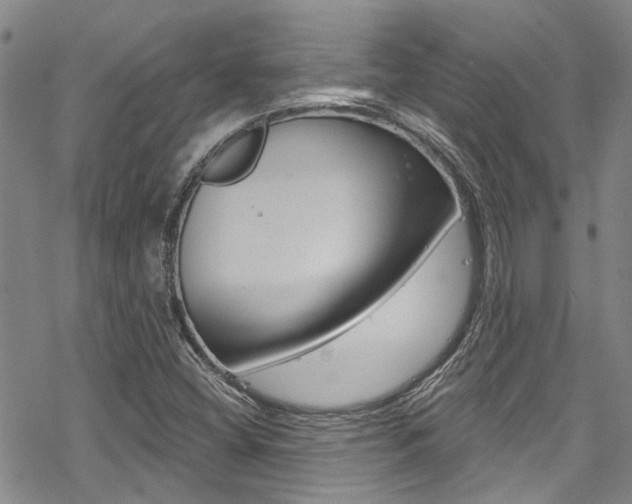 X0000069821404200605190858