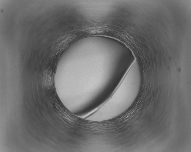 X0000069821444200605190858
