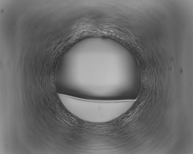 X0000069821490200605190857